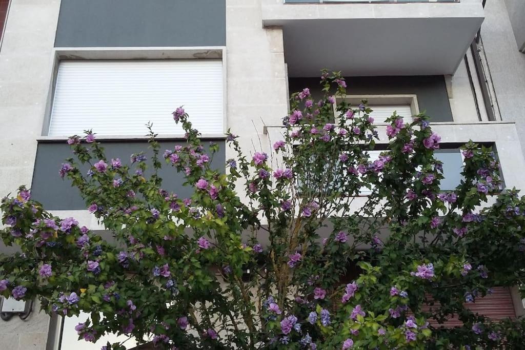 Coqueto Alojamiento Cercano A Las Termas A Ourense Dış mekan fotoğraf